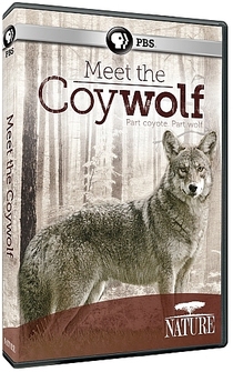 Poster Nature: Meet the Coy-wolf