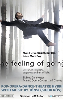 Poster The Feeling of Going