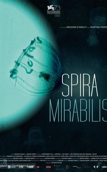 Poster Spira Mirabilis