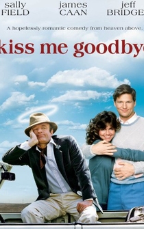 Poster de Mi adorable fantasma