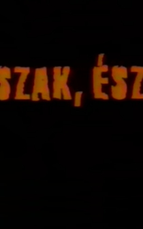 Poster Észak, észak