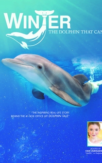 Poster Winter, the Dolphin That Can