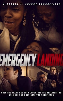 Poster Emergency Landing