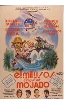 Poster El mil usos II