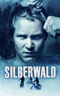 Poster Silberwald