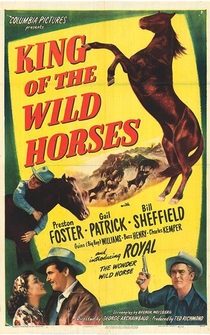 Poster King of the Wild Horses