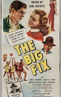 Poster The Big Fix