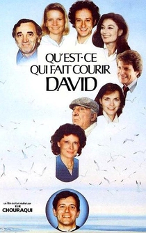 Poster Qu'est-ce qui fait courir David?