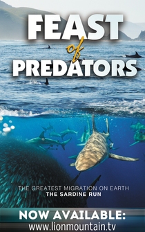 Poster Feast of Predators