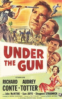 Poster Under the Gun