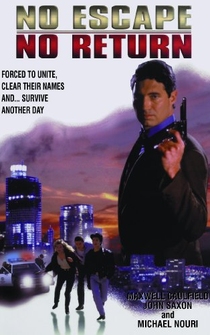 Poster de Misión suicida