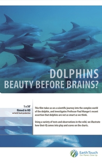 Poster Dolphins: Beauty Before Brains