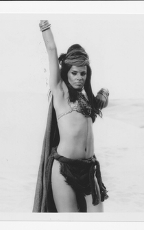 Poster de El vuelo del fénix