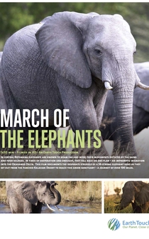 Poster March of the Elephants