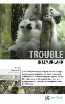 Poster Trouble in Lemur Land