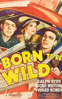 Poster Born to Be Wild