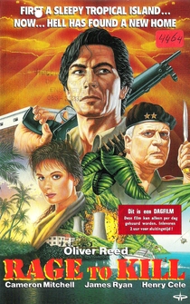 Poster de Furia asesina