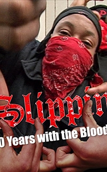 Poster Slippin': Ten Years with the Bloods