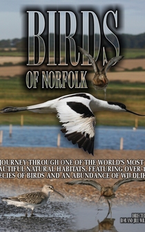 Poster Birds of Norfolk: A Bird Watchers Dream