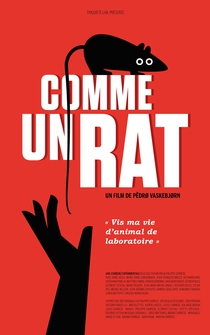 Poster Comme un rat