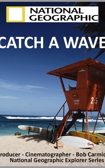 Poster To Catch a Wave