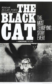 Poster The Black Cat