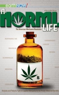 Poster A Norml Life