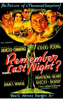 Poster Remember Last Night?