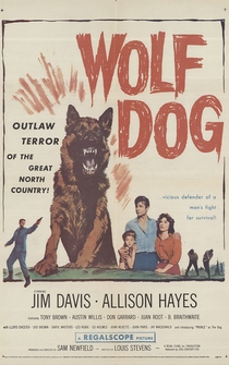 Poster Wolf Dog