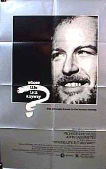 Poster de Al fin y al cabo es mi vida