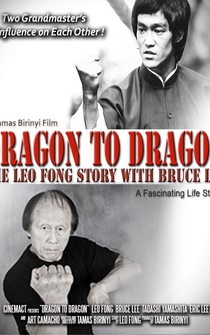 Poster Dragon to Dragon