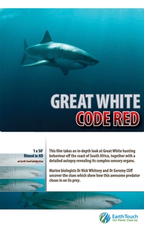 Poster Great White Code Red