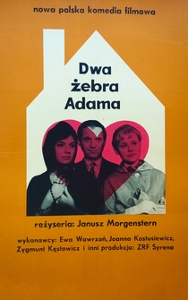 Poster Dwa zebra Adama