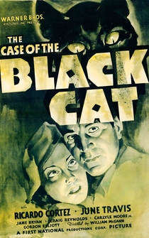 Poster The Case of the Black Cat