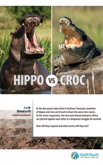 Poster Hippo vs Croc