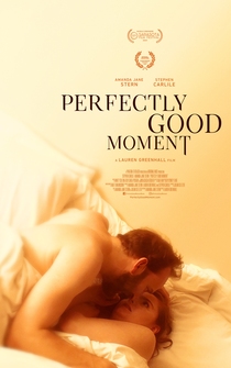 Poster Perfectly Good Moment