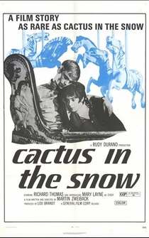 Poster Cactus in the Snow