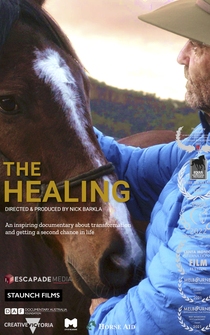 Poster The Healing