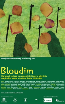 Poster Bloudím