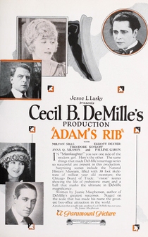 Poster Adam's Rib