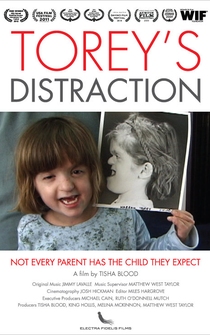 Poster Torey's Distraction