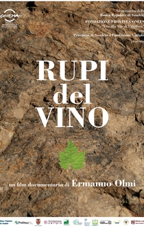 Poster Rupi del vino