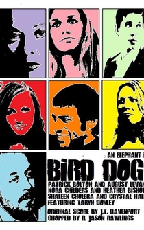 Poster Bird Dog