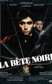 Poster La bête noire