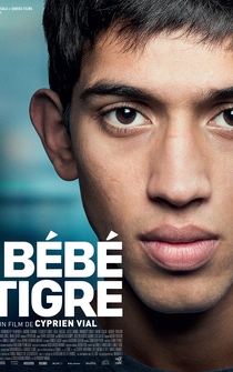 Poster Bébé tigre