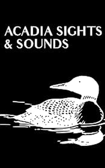 Poster Acadia Sights & Sounds