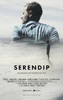 Poster Serendip