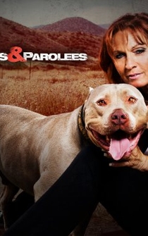 Poster Pit Bulls and Parolees