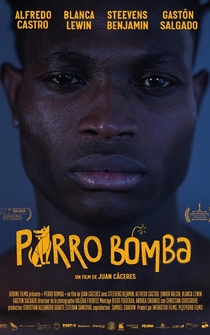 Poster Perro Bomba