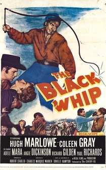 Poster The Black Whip